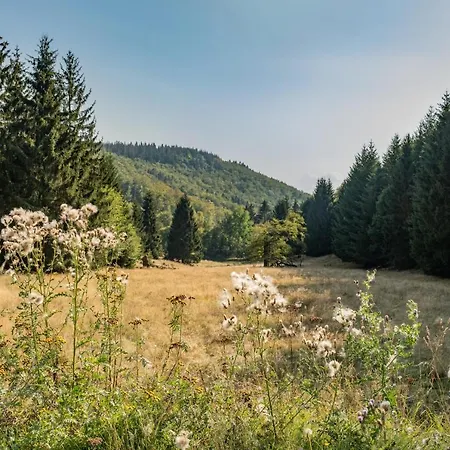 Waldpark Krätzersrasen * Bad Liebenstein